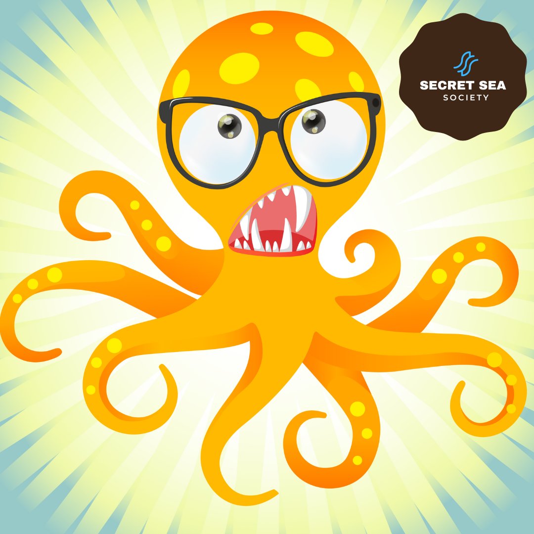 Secret Sea Society tweet media