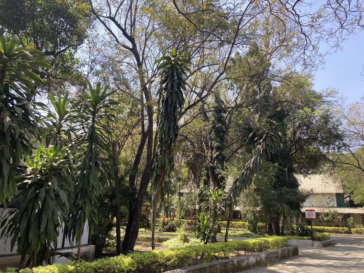 microshep's tweet image. Brilliant first day in #pune with @KaushikLab and @NizamShaikh03. @OiHollie and I were blown away by the incredible @ProtoshopL and the rest of the facilities at @venture_center - joined up thinking for innovative startups in a beautiful setting. We are quite envious 😁!!