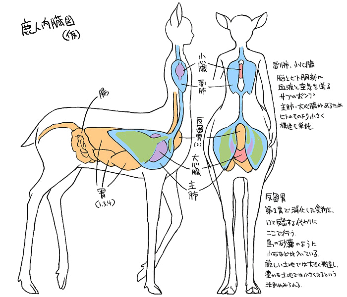 毛とか骨とかはらわたとか(仮)
#風境翼涯 #設定 #創作 #タウル 