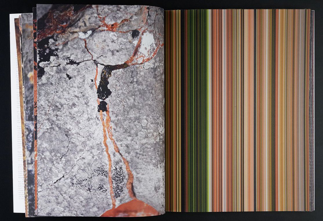 Oliver Moore, Bryophites and Lichens of Letterewe, 2019
Niek Biegman, Lichens in Dalmatia, 2021
Both books designed by <a href="/irma_boom/">Irma Boom</a>