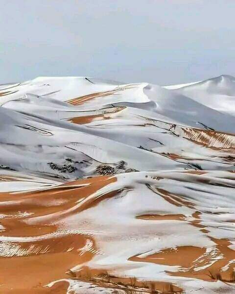 AzizZaouma's tweet photo. @mastermachandar @Leticia35170144 Thank you verry match and you https://t.co/IKpQqktm67