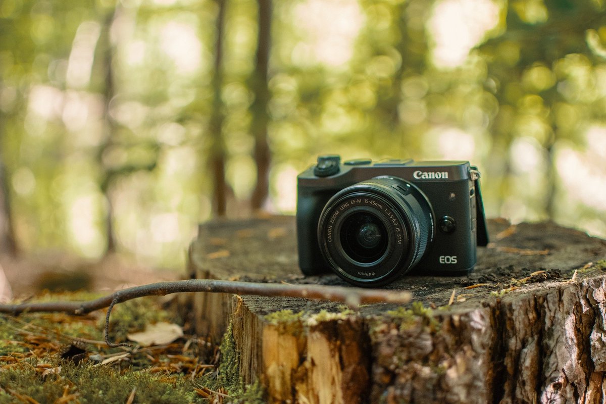 OTNoblat's tweet photo. #Concours #Photo 2023 : les formes géométriques de la forêt d'Epagne
📸 Profitez d'une balade dans cette forêt féérique pour participer au concours ! 🌿
➡ + infos sur le concours : https://t.co/gVD0vZ7YGe
➡ découvrir la forêt d'Epagne : https://t.co/k11wAyRKsH
#tourisme87 https://t.co/kq82IuyoWx
