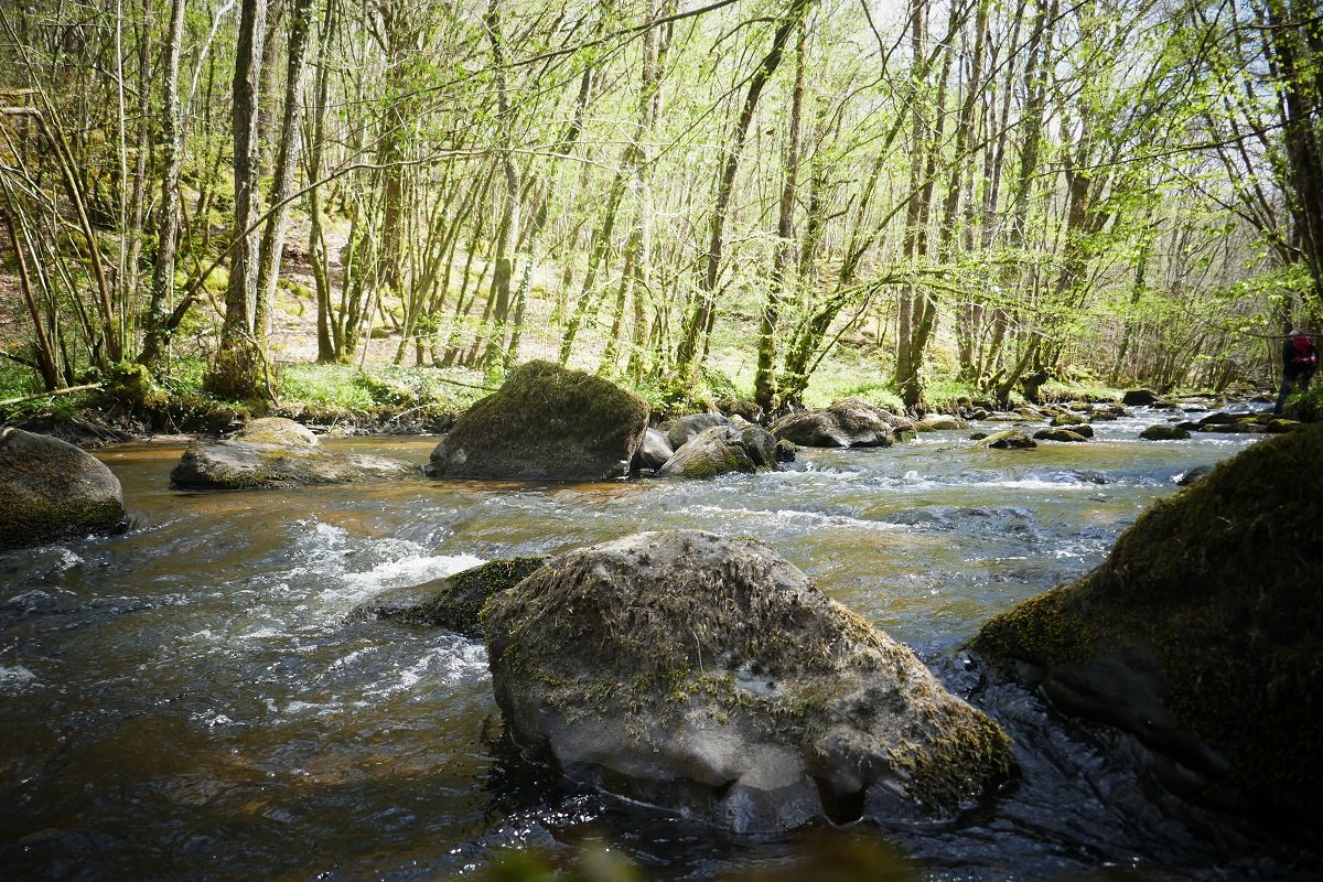 OTNoblat's tweet photo. #Concours #Photo 2023 : les formes géométriques de la forêt d'Epagne
📸 Profitez d'une balade dans cette forêt féérique pour participer au concours ! 🌿
➡ + infos sur le concours : https://t.co/gVD0vZ7YGe
➡ découvrir la forêt d'Epagne : https://t.co/k11wAyRKsH
#tourisme87 https://t.co/kq82IuyoWx
