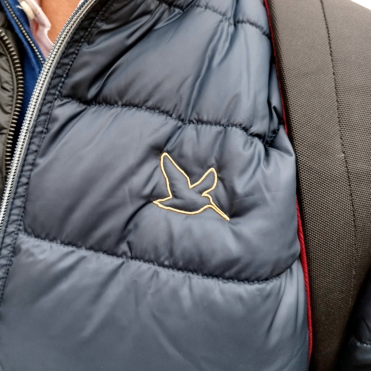 Go Vicinity Creative tweet media