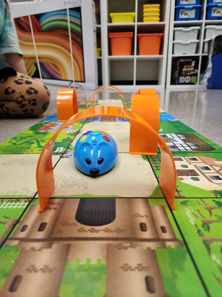 ⁦<a href="/RalphBrownWSD/">RalphBrownSchoolWSD</a>⁩ gr1/2 Ss start a day at 8:00 am #codingclub #goddard_dorothy