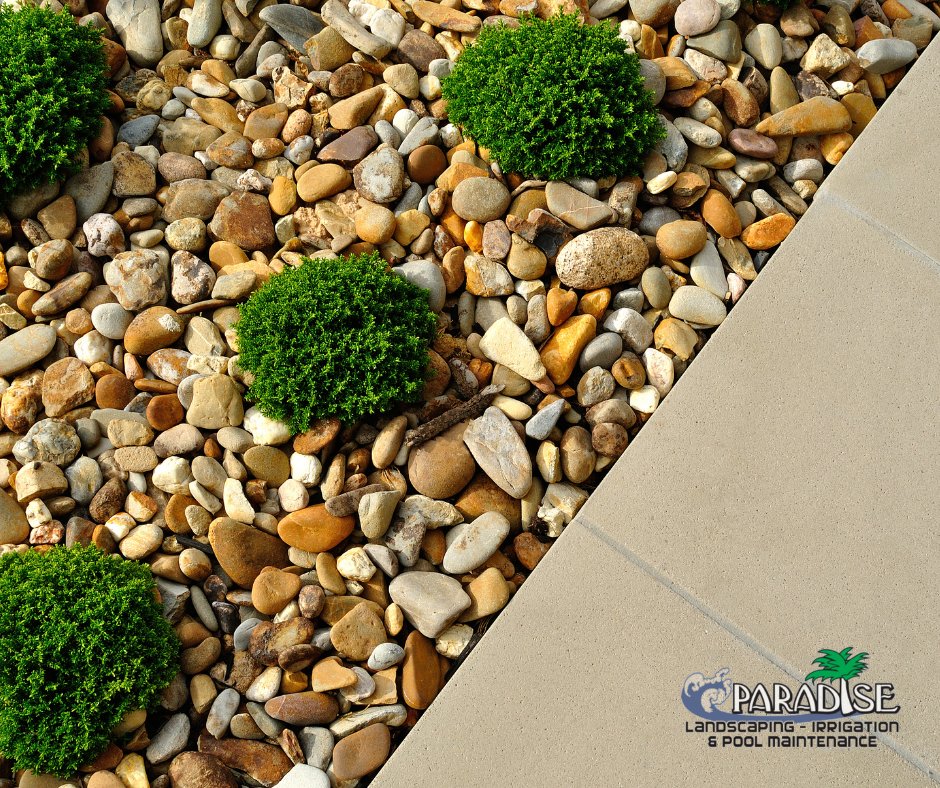 ParadiseLOTO's tweet photo. Get ahead of the competition and have your landscaping done by the professionals at Paradise Landscaping. We specialize in all things landscaping, from design to maintenance.
https://t.co/IUWDyVvxZu https://t.co/yEIX9huda9