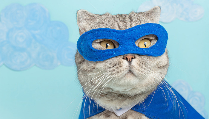docugami's tweet photo. Unleash your company's superpowers. Unlock the data trapped in your documents, to power your business systems and transform your business. Docugami seamlessly integrates with @UIPath @AutomationAnywh @Appian @Box &amp; more.
#DocumentEngineering #AI
https://t.co/vTafgZci4r https://t.co/Q1hcPDMkvp