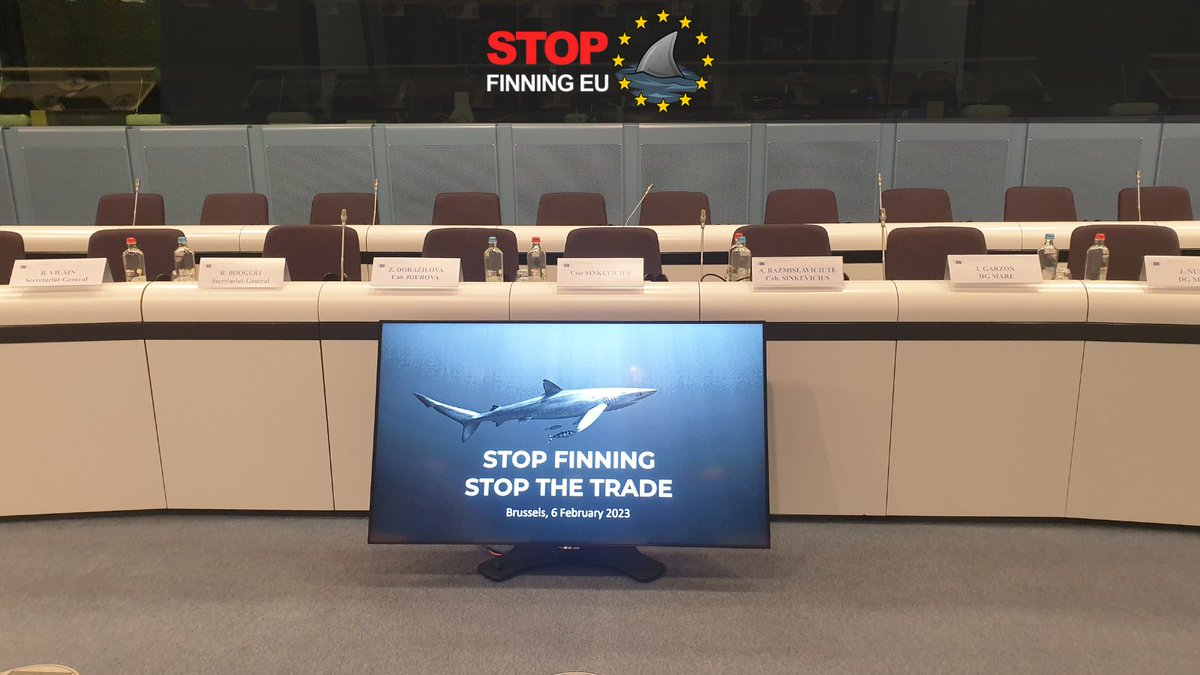 StopFinningEU's tweet photo. #StopFinningEU MILESTONE reached: Today we presented our proposal for a #FinBanNow to the @EU_Commission! 💪 Now it is up to them to decide how the demand of 1,1 million voters can become reality 🇪🇺🦈 https://t.co/VHmxOOKfNF