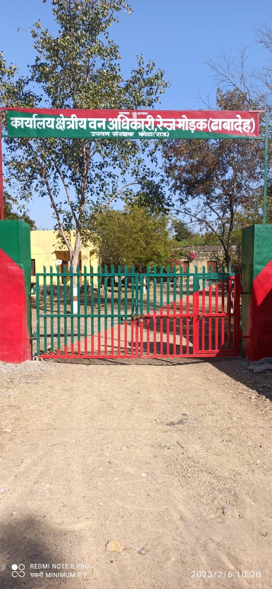 Kota
वन विभाग के कर्मचारियों ने बजाया आंदोलन का बिगुल, सरकार को दी चेतावनी
मुसीबत में आई  टाइगरो की जान
पहले भी मुसीबत के दौर से गुजर चुका है मुकुंदरा टाइगर रिजर्व
ऐसे में कर्मचारियों की हड़ताल कहीं फिर से मुकुंदरा टाइगर रिजर्व को मुसीबत पहुंचा दे
<a href="/ashokgehlot51/">Ashok Gehlot</a> 
<a href="/RajCMO/">CMO Rajasthan</a>
