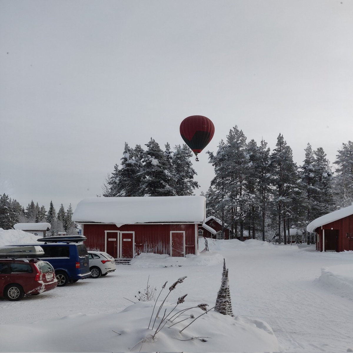 Aamulla kun kattoo ikkunasta ulos, ei voi aina tietää mitä näkyy...