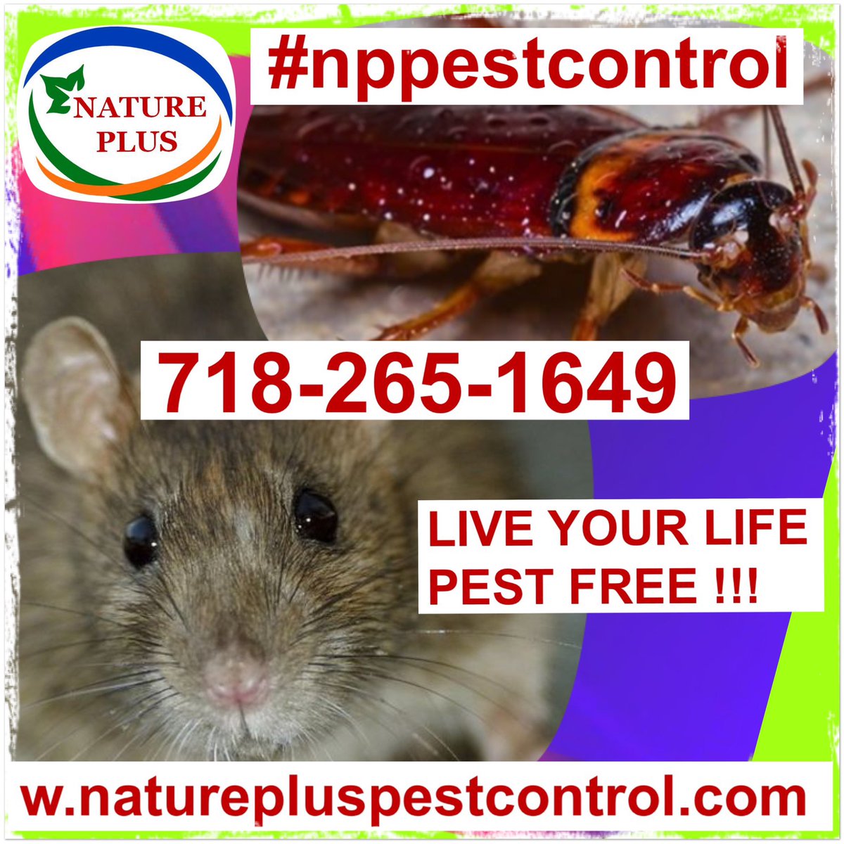 NPPestControl's tweet photo. #pestcontrol #pests #pestfree #natural pest control #ecofriendly pest control #nppestcontrol #mice #rats #roaches #flies #mosquitoes #ants #fleas #bedbugs #moths #ticks #spiders #NYC pest control #businessowner #smallbusiness https://t.co/s0EyzxS8n4