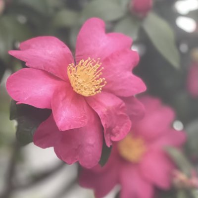 sasha498968's tweet photo. #NewProfilePic (新個人資料照片) https://t.co/zJQOS8GEzt