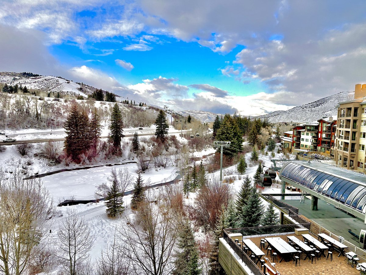 Debbie Goff tweet media