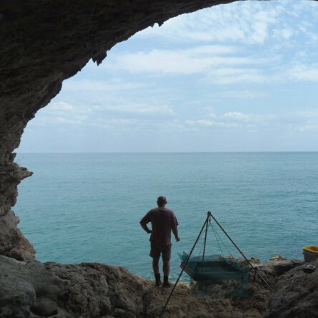 iphes's tweet photo. 🟣 New study led by Dr. Mariana Nabais (@iphes) proofs that neanderthals ate shellfish at Gruta da Figueira Brava (Portugal): “Menu included brown crabs: they preferred larger specimens and cooked them in fires” 🔗 More info: https://t.co/OiQLvxAHpP https://t.co/gQBTKOdX6h