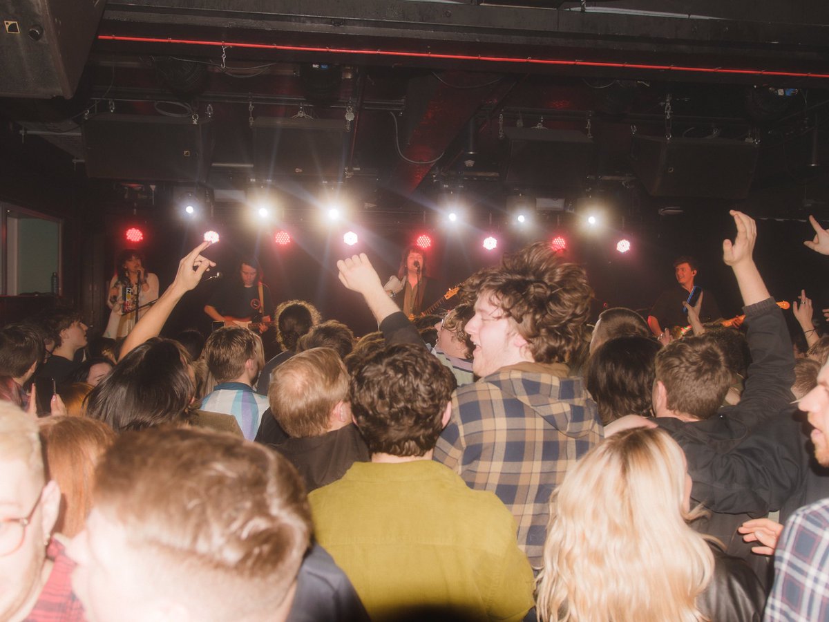 The Zangwills tweet media