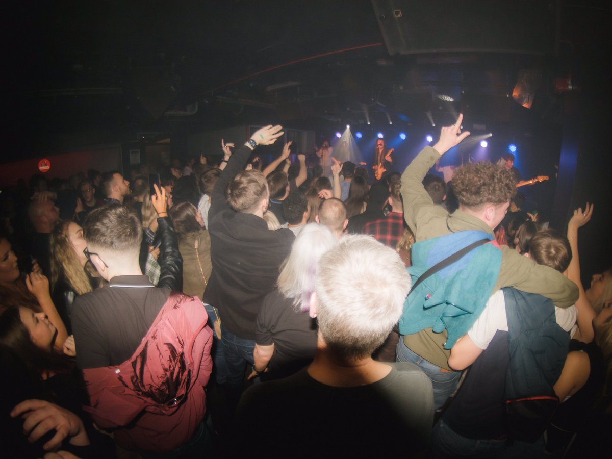 The Zangwills tweet media