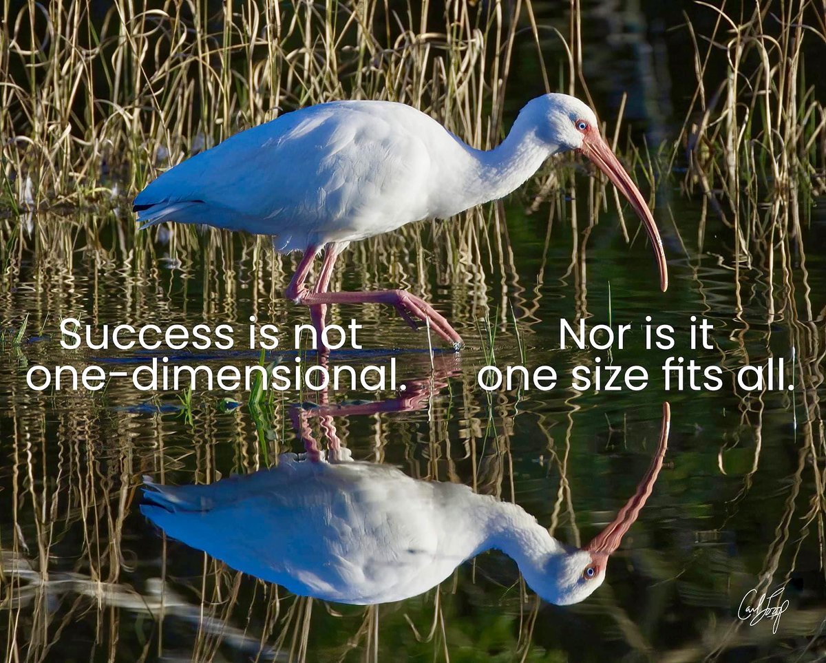 CarlLoopSpeaker's tweet photo. "Mondays Reimagined: Master Your Monday. Win the Week!"
How many ways will you Succeed today? Success is not one-dimensional. Nor is it one size fits all.
#MondaysReimagined #LeadershipQuotes  #WellBeing  #BurnoutPrevention https://t.co/XlHfc8i8lK