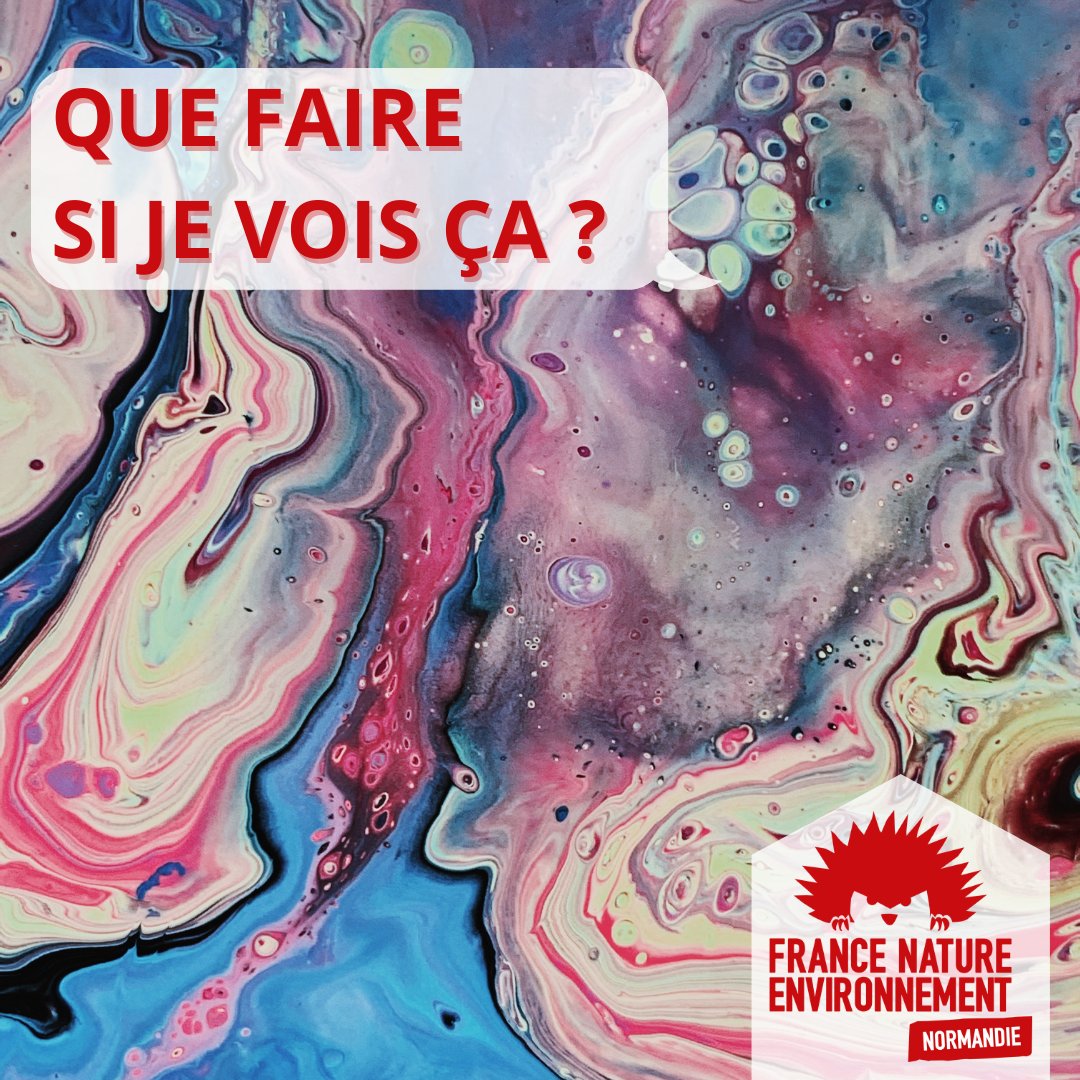 FneNormandie's tweet photo. 💧 Que faire si je vois une pollution de l'eau ?
Alertez immédiatement l'Office français de la biodiversité ou la gendarmerie puis rdv sur https://t.co/nYVj8bwYcU
#sentinellesdelanature #francenatureenvironnement #mondevivable https://t.co/iyF7f8BuDa