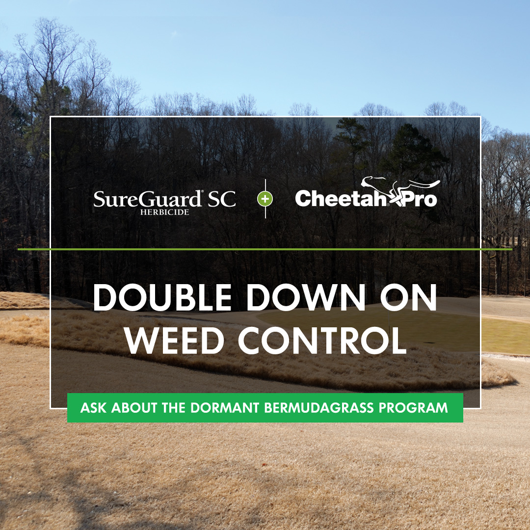NufarmUSTurf's tweet photo. Prepare your #golf #course for a strong spring start! Get ahead of weeds while your Bermudagrass is dormant. Our double-down #herbicide combo - #SureGuard SC and #CheetahPro - a non-selective and residual tankmix that tackles resistant weeds.
https://t.co/HyU6VpRW4R
#weedcontrol https://t.co/OXi1bAcvvD