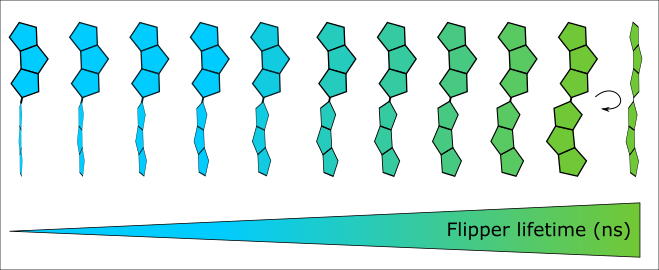 CRoffay's tweet photo. Happy to share our last paper 'Technical insights into fluorescence lifetime microscopy of mechanosensitive Flipper probes' characterizing in depth the Flipper probes. If you are curious to try it out, it constitute a complete guide with insights 🤓🤓 https://t.co/IgFvcUBkrI https://t.co/ATc95yDem0