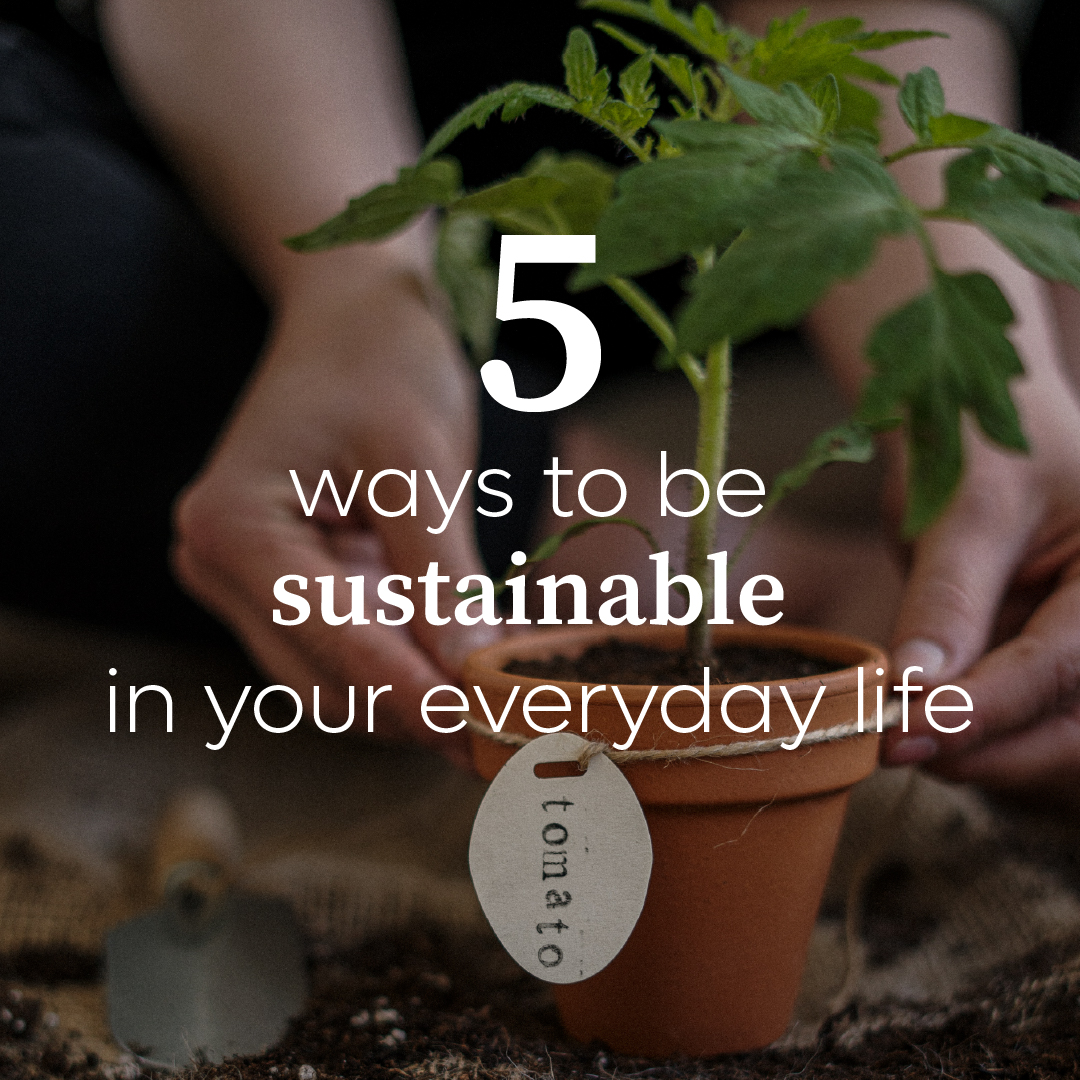 5 ways to be #sustainable in your everyday life: 
1. Swap and reuse more, buy less 🛍️
2. Buy local
3. Use #green transport such as cycling or public transport 🚴🚍
4. Start #composting ♻️
5. Join in and normalise #climate action 💚