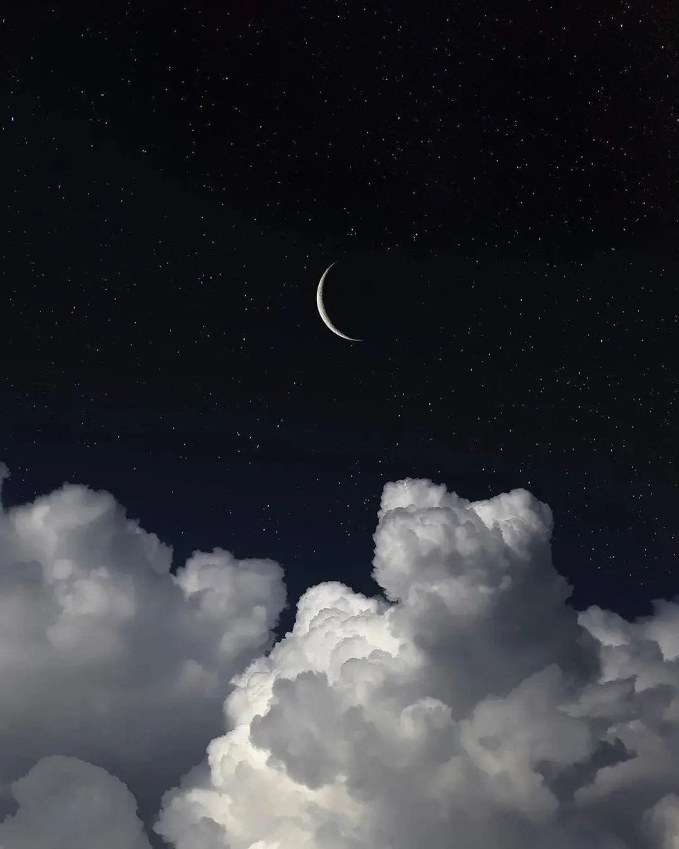 artindetails's tweet image. in love with the moon