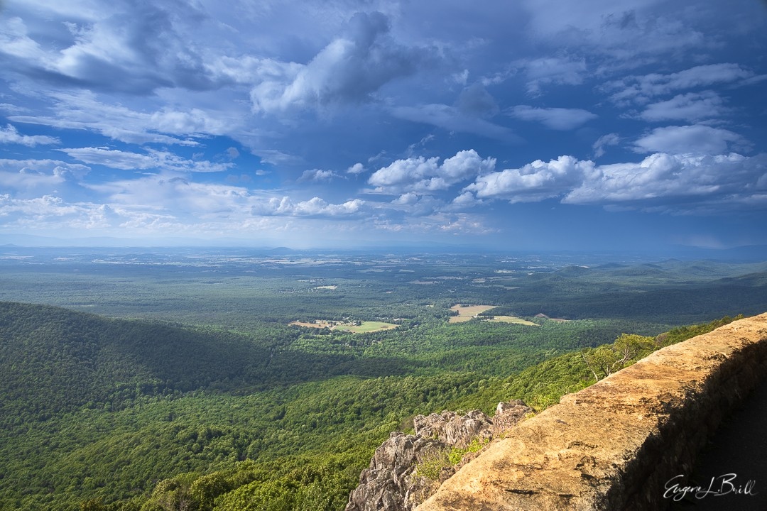 eugenebrill's tweet photo. 👀Wintergreen lookout on the Blue Ridge Parkway
📷 @thewannabenaturalist
.
#wannabenaturalist
.
#exploremore #thinkoutside #canonphotography#blueridgeparkway #travel #naturelovers #travelphotography #wanderlust #thediscoverer #intothewild #eugenebrill
.
https://t.co/eevmAvnkD8 https://t.co/2ja6tHoCoH