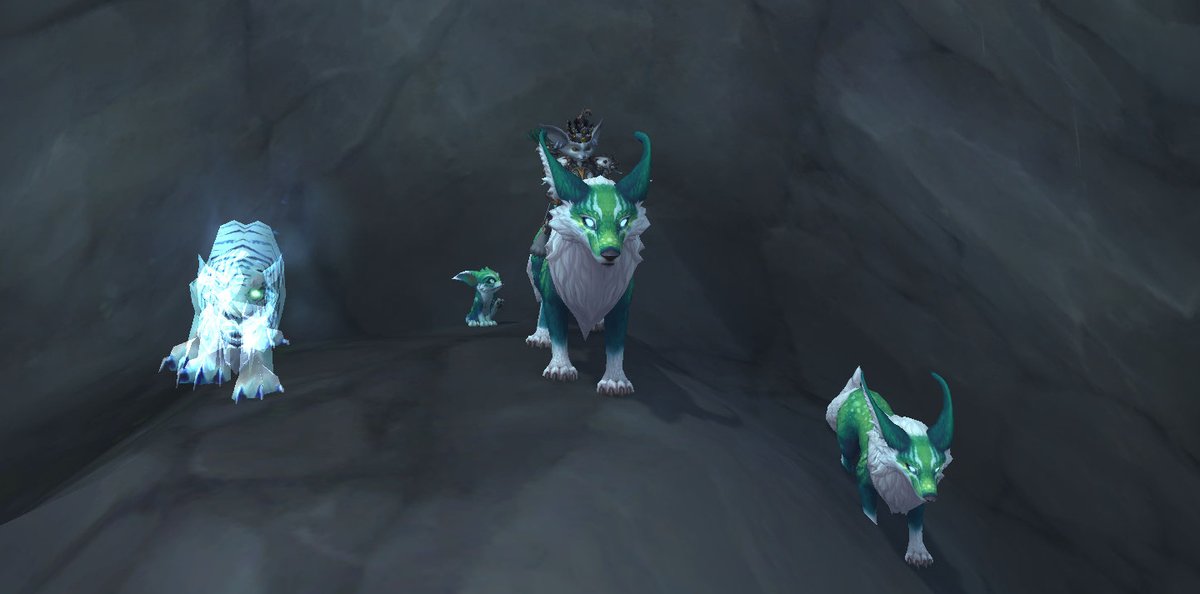 Miss Edelweiss ⛰️🌱🌿 (@alpsnedelweiss) on Twitter photo 