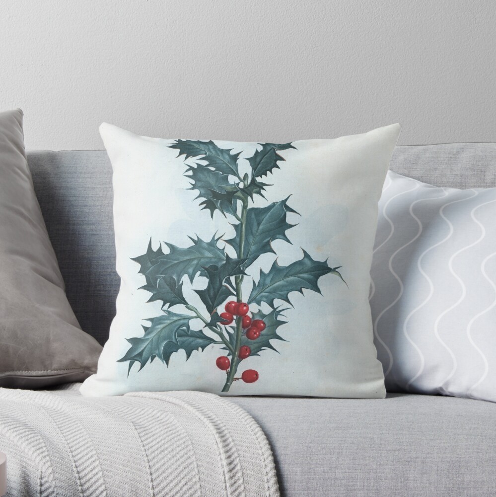 dewdesignphoto's tweet photo. Recently Purchased: Ilex Aquifolium (Holly) Vintage Botanical Print (1801) Throw Pillow

https://t.co/cG1DxXeFFZ

#vintage #botanicalprint #ilex #flowers #plants #illustration #gardening #garden #nature #forsale #products #gifts #coasters #cards #clothing #crafts #technology https://t.co/KenKWpolKo