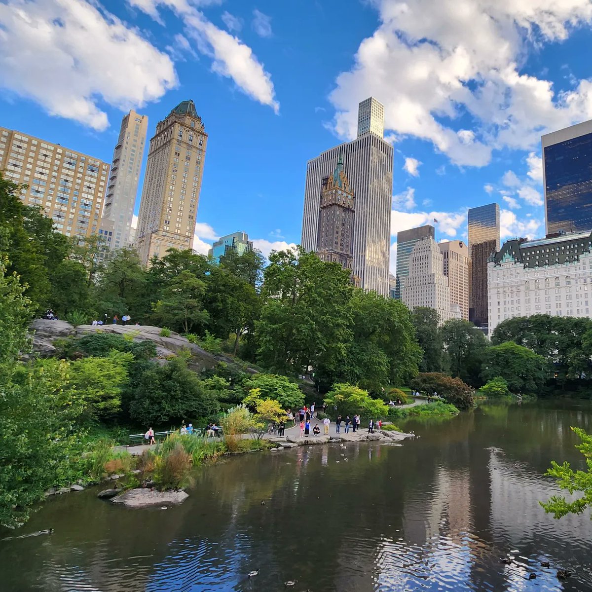 pattenbustos's tweet photo. Living and working in NYC can have its perks 😍🗽 https://t.co/7aDpwDiaTY