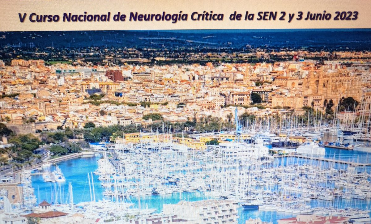 Marta Guillan tweet media