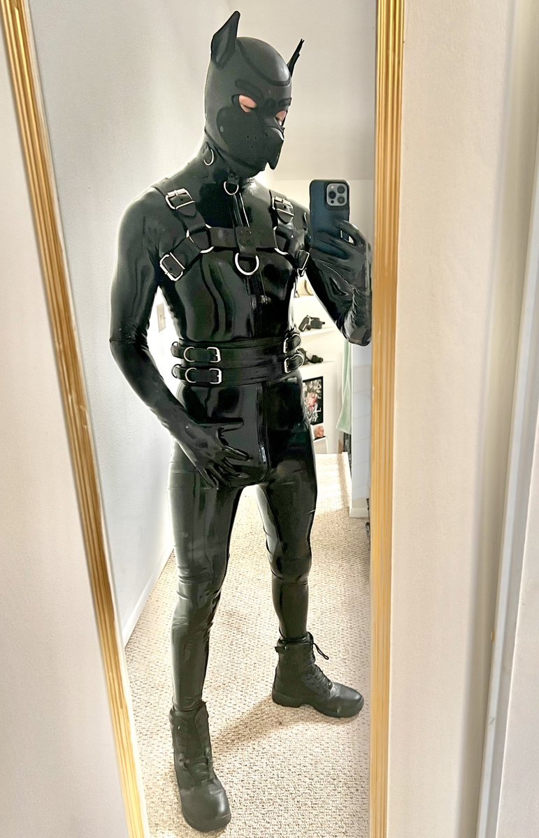 MaxTheGoodPup's tweet photo. There’s no better feeling than being sealed in rubber.

#latex #catsuit #rubberpup https://t.co/Vwuj1dQa44