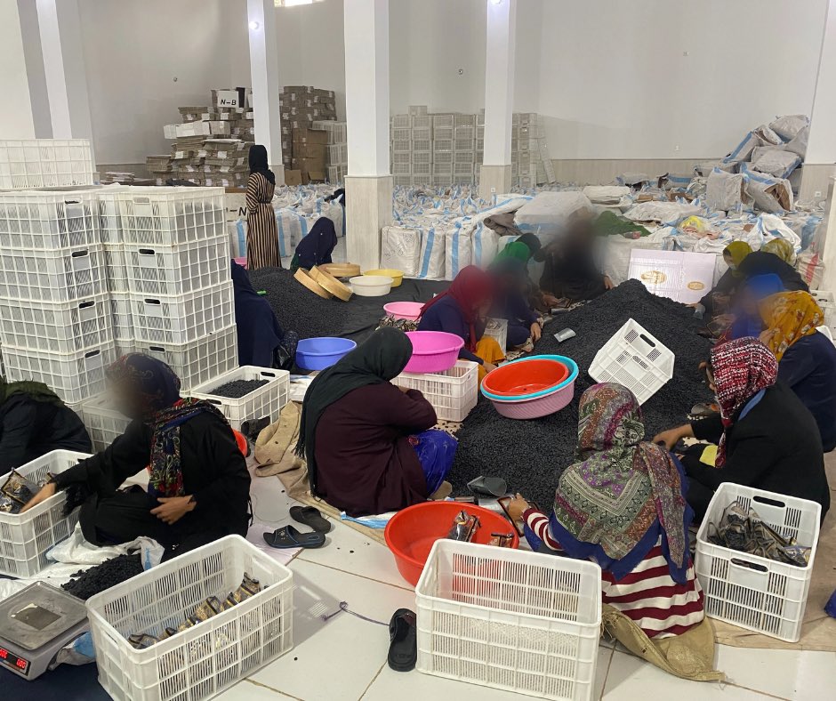 Roots of Peace tweet media