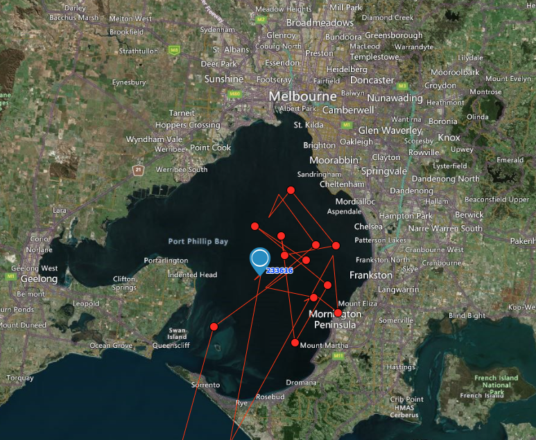 Autumn-Lynn Harrison tweet media