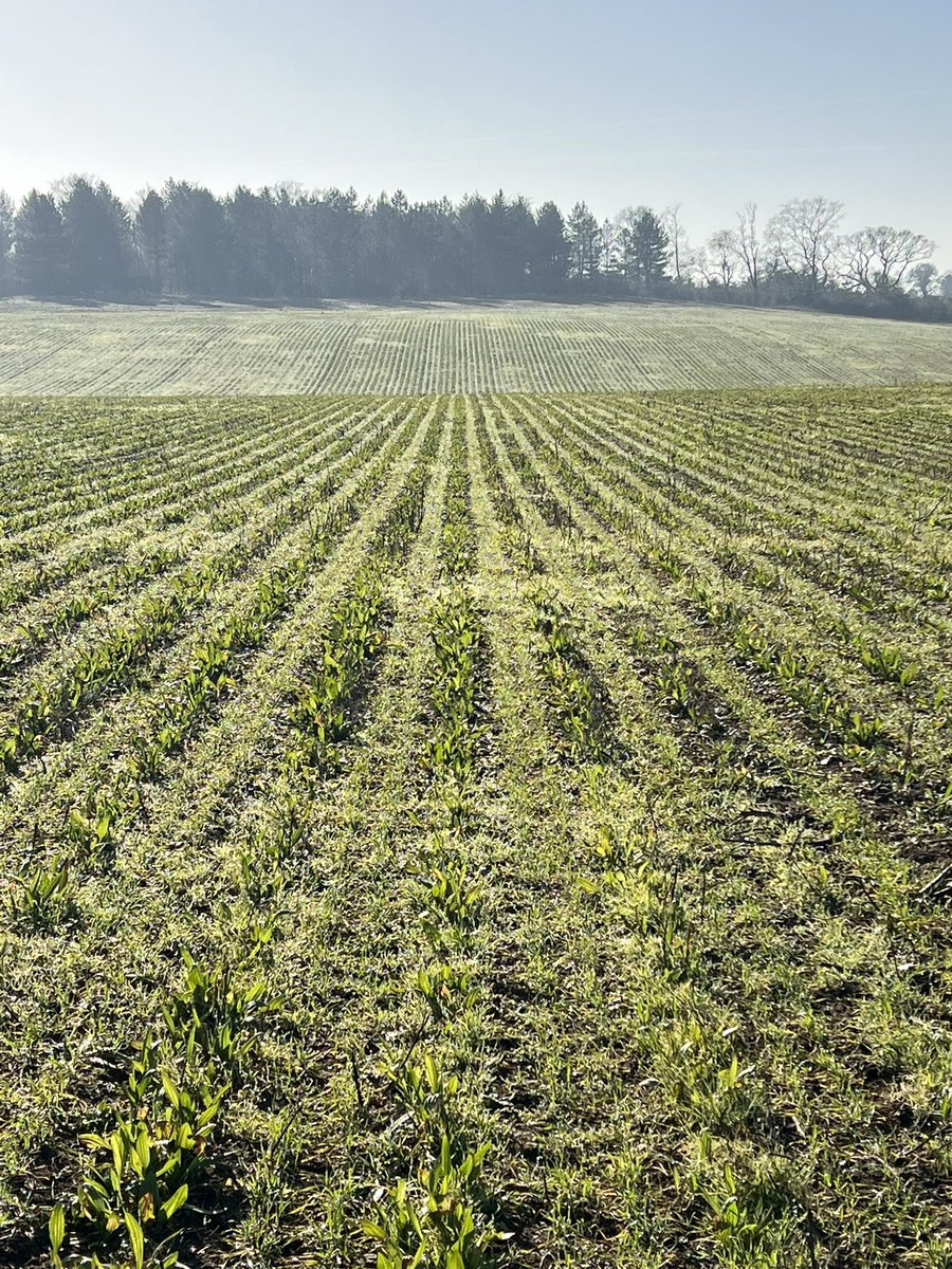 Nick Padwick tweet media