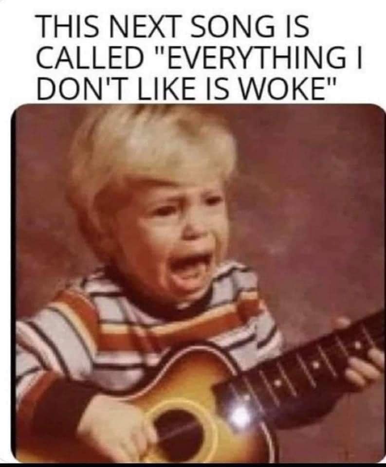 DeSantis platform just dropped.