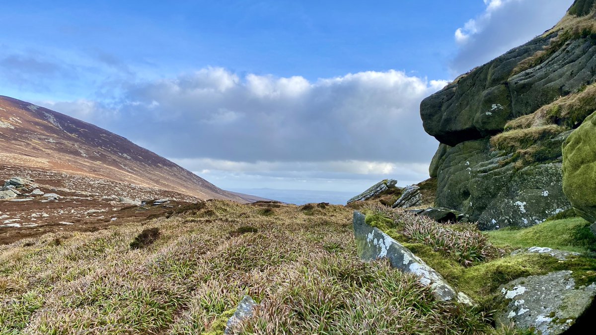 Bank Holiday Hike in Wexford to end the long weekend. 10 km route with a max height of 785 #hiking #ireland