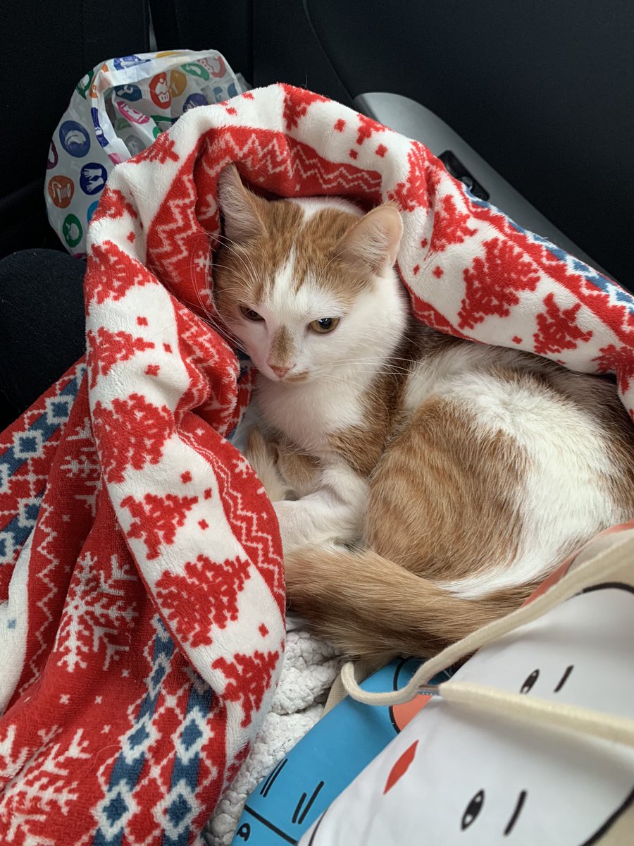 Друг повёз нас лечиться в Москву. Переживаем