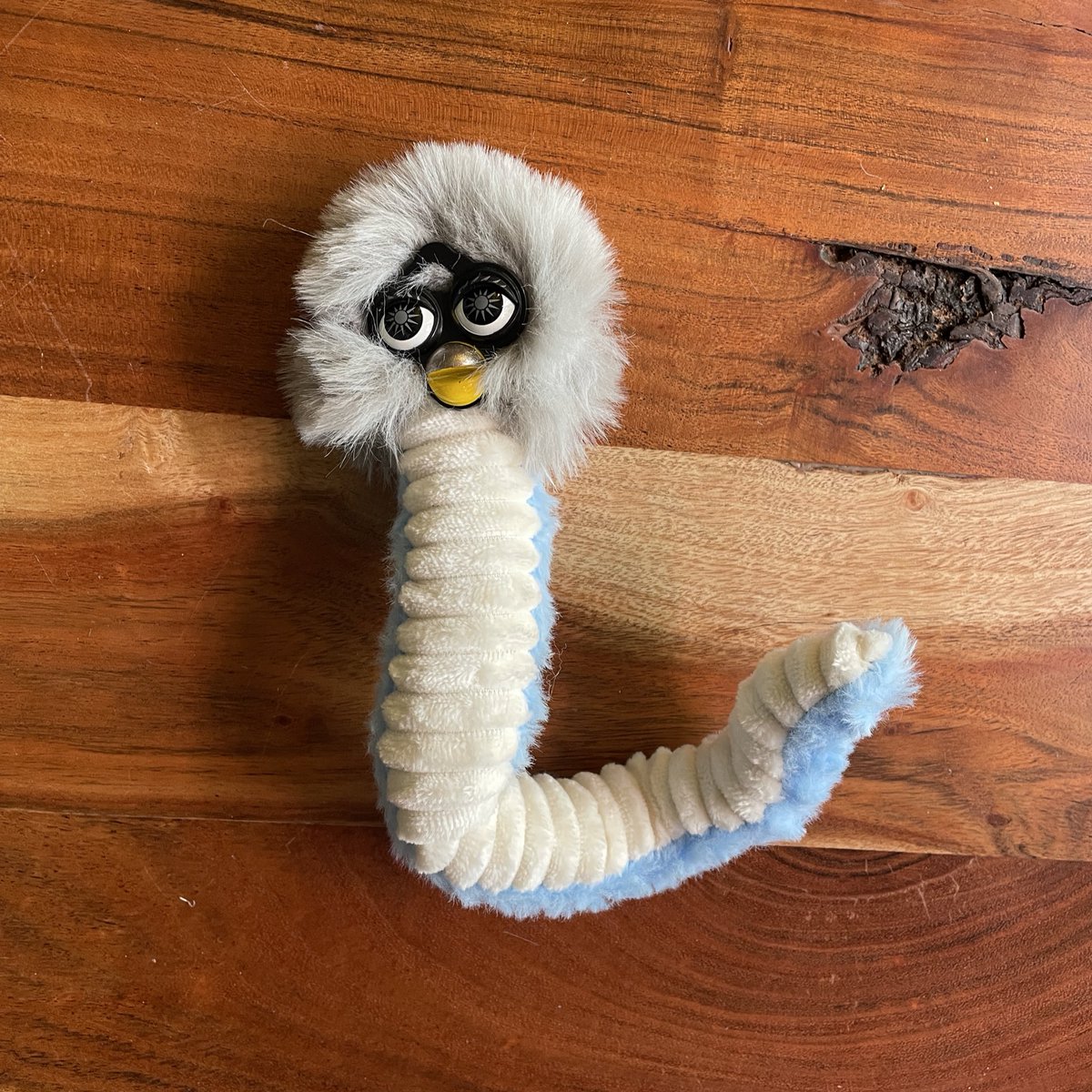 Shan Dude 🐀🦷 tweet media