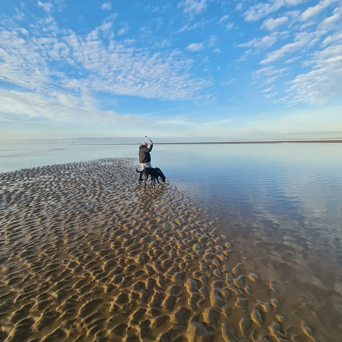 On da beach wit me Dads... love it! <a href="/ScouseB/">Stan K. Sandland-Owens</a> <a href="/scouseleder/">Martin Sandland-Owens</a> <a href="/DT_Merseyside/">Dogs Trust Merseyside</a>
