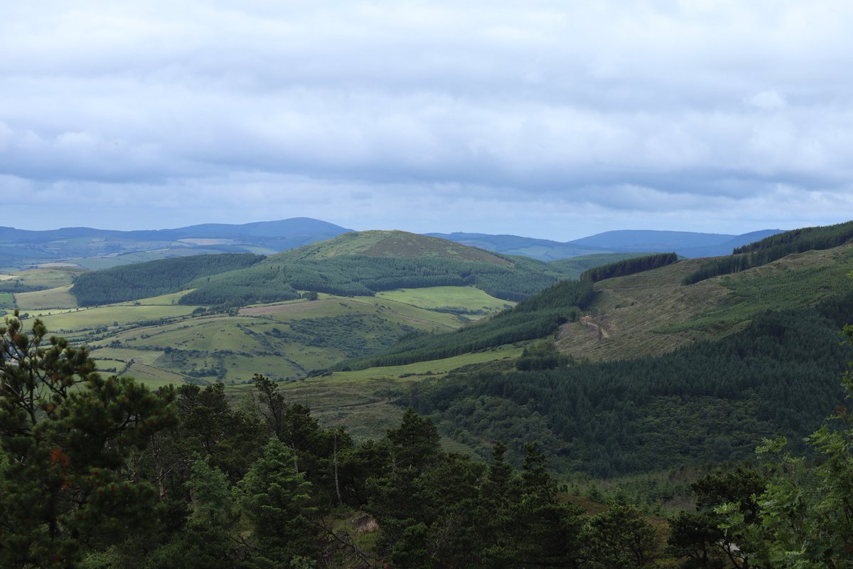 IrishJ83 tweet media