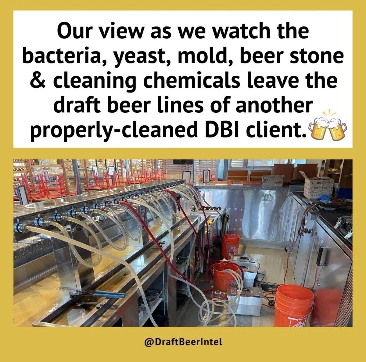 draftbeerintel's tweet image. One of our favorite views! 🤩

Clean beer lines will ensure the appearance, aroma, and flavor experience intended by the brewer is delivered pint after pint.

Let&apos;s give your customers a reason to keep coming back! 

Contact us if you need support with draft beer line cleaning.🍻