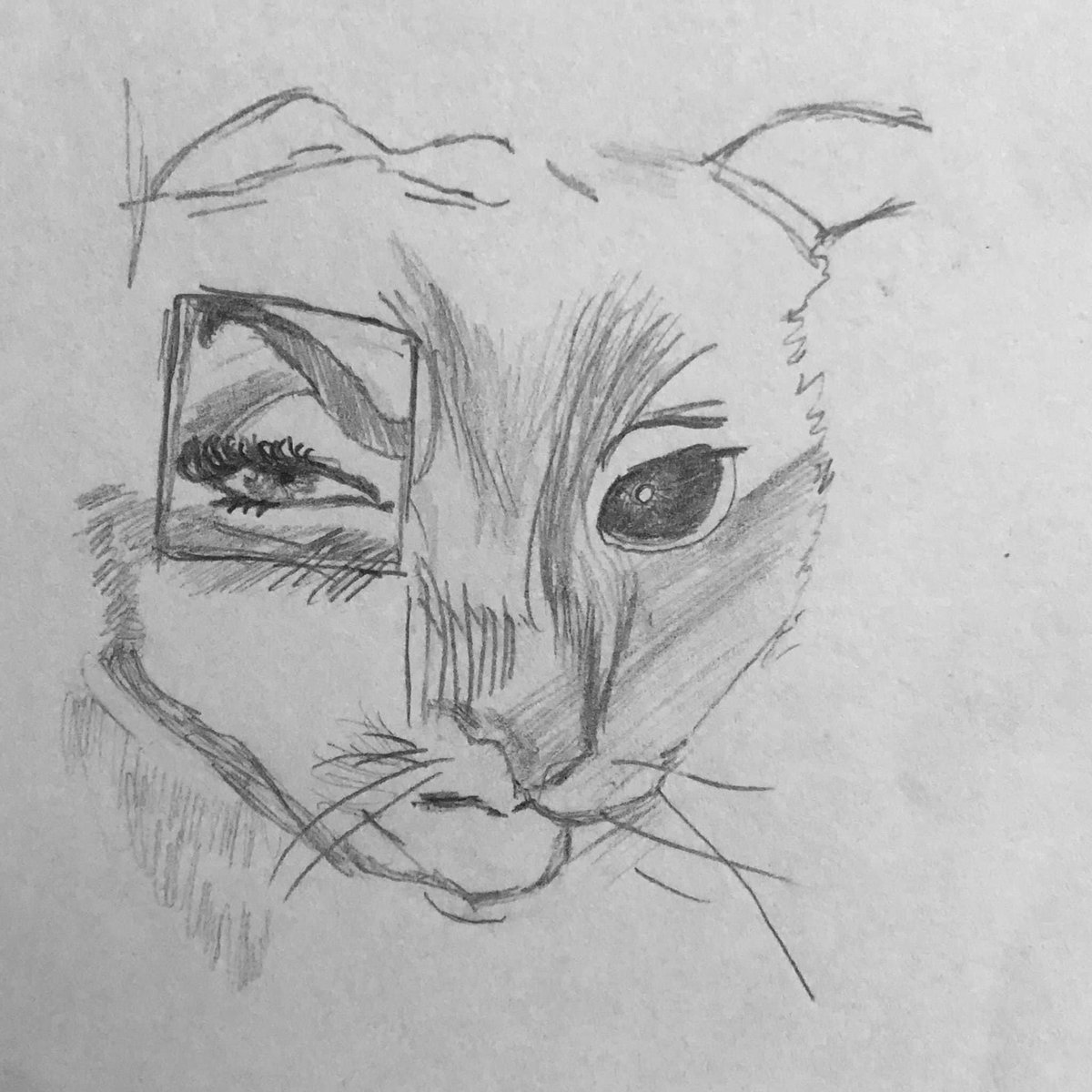 JcJs75's tweet image. 