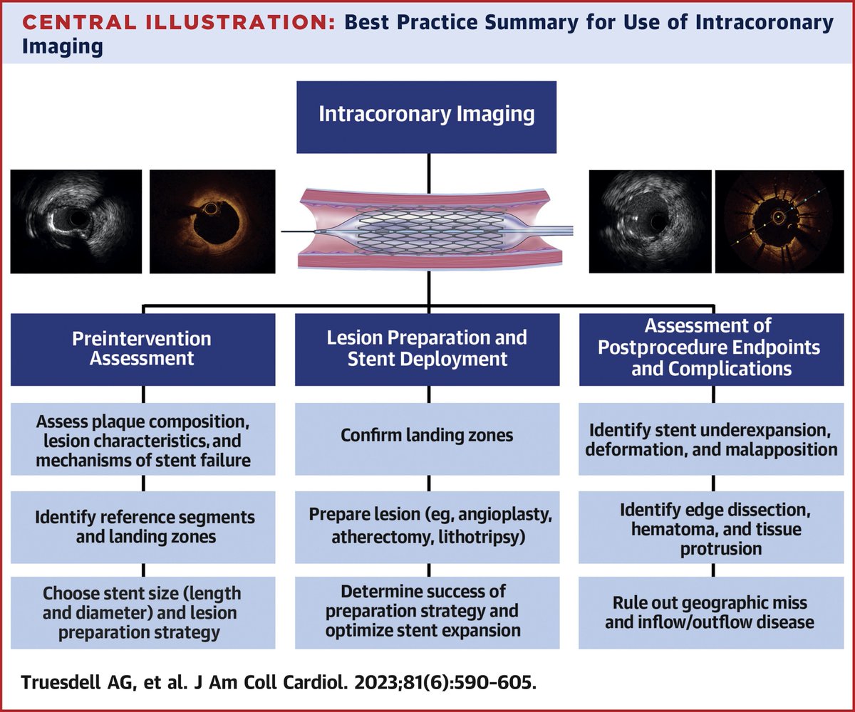Intravascular Imaging During Percutaneous Coronary Intervention: JACC State-of-the-Art Review

@jaccjournals #CardioTwitter

jacc.org/doi/10.1016/j.…