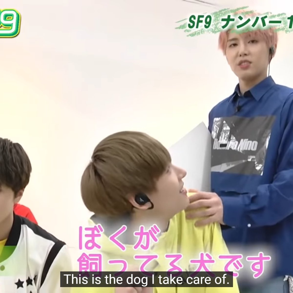 #sf9 #에스에프나인