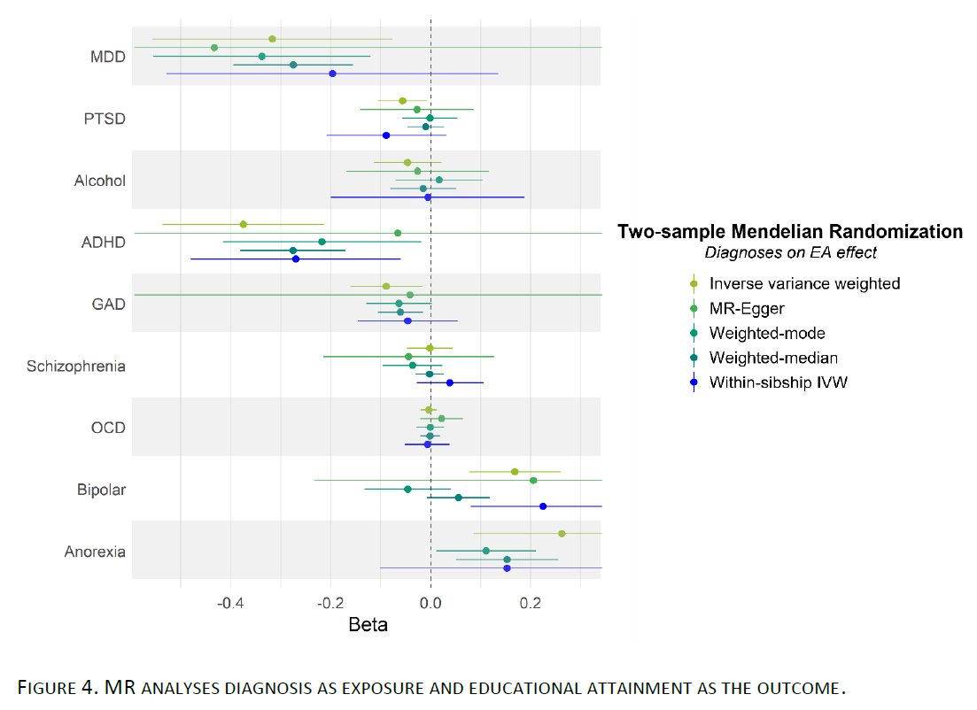 pre-print🚨ICYMI: 
#EducationalAttainment ⬅️❓➡️#PsychiatricDiagnoses 
For #ADHD, we find bidirectionality, so lower educational attainment (EA) increases the risk for ADHD *and* vice versa. Work led by @PerlineDemange, using sibling (N=1.7M!) & DNA analyses.  🧵👇