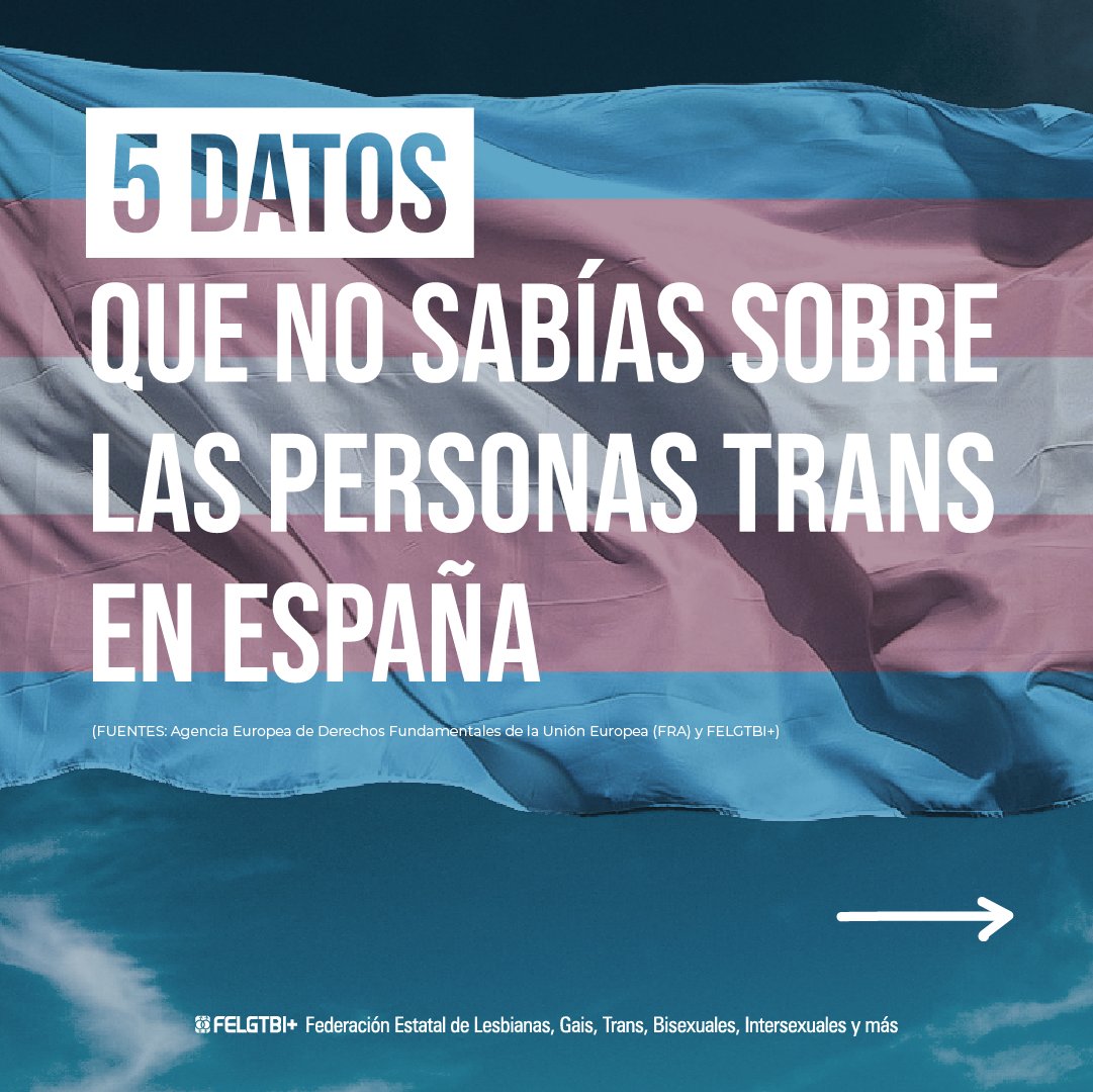 Federación Estatal LGTBI+ tweet media