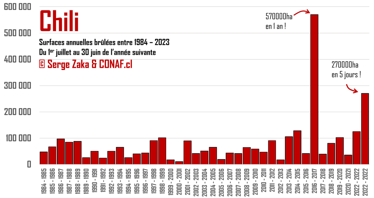 Dr. Serge Zaka (Dr. Zarge) tweet media