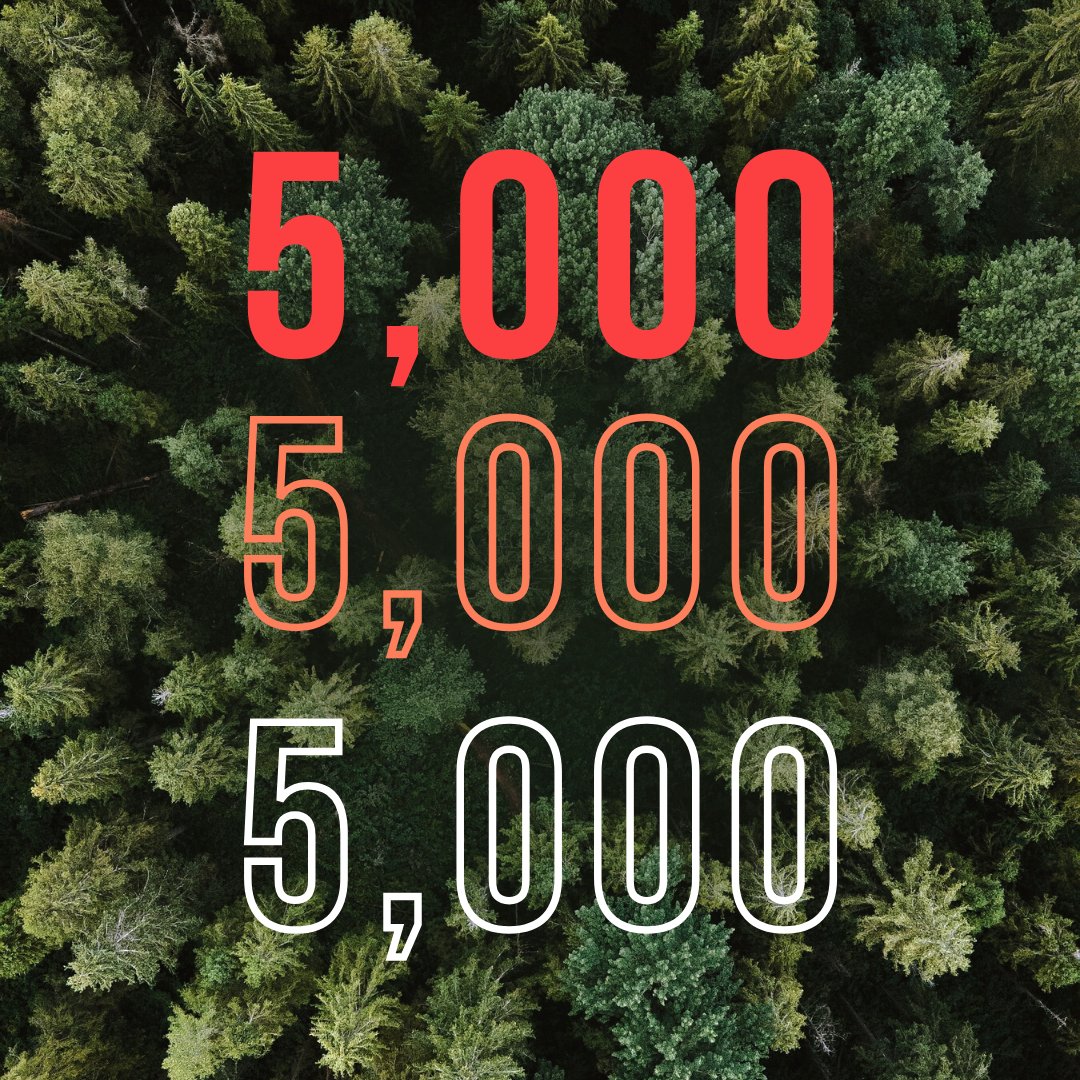 Thanks to the collaborations between us and our amazing clients, we have planted 5,000+ trees🌲

Investing in the #planet is a core commitment, so for every full #video or #animation project, we plant 100+ through Eden Reforestation Projects. Join us on our #treeplanting journey!