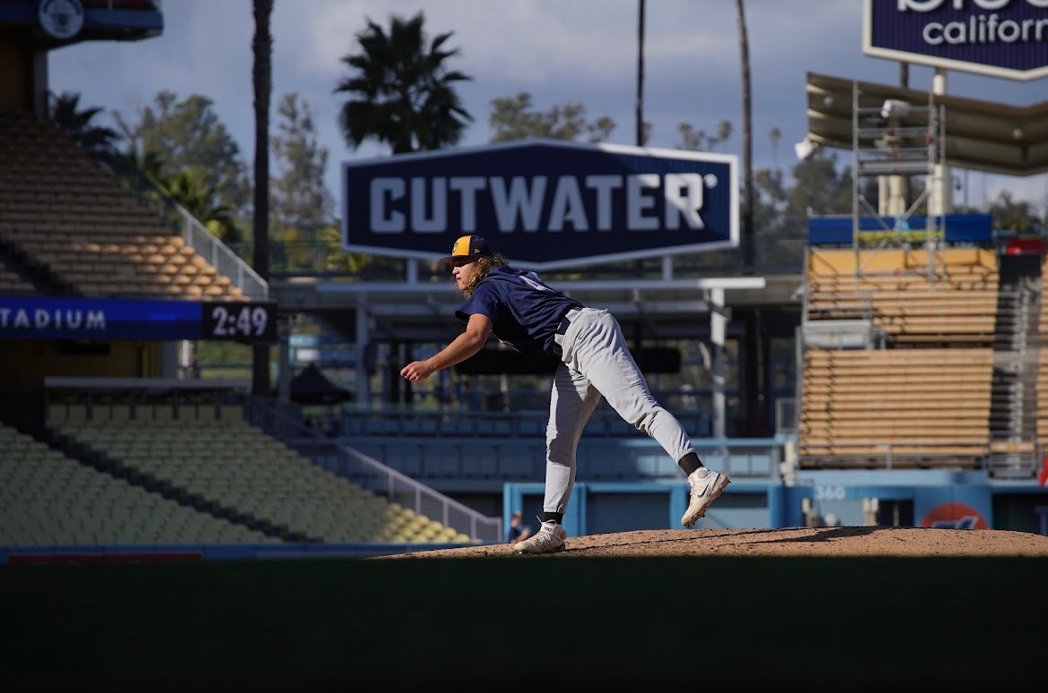 Boston Bateman™ tweet media